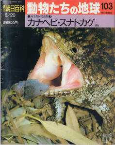 ■　週刊朝日百科　動物たちの地球 103 両生類・爬虫類⑦ カナヘビ・スナトカゲ　ほか