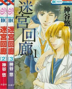 【中古】迷宮回廊 コミック 1-3巻セット (花とゆめCOMICS)