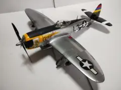 プラモデル完成機　1/48　サンダーボルト(1)