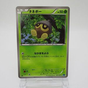 【レトロ ポケカ】タネボー ポケモンカード　005/080 C XY2　たねポケモン　Pokemon Cards　中古　　　　#0416-310