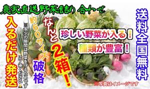 おまかせ冬野菜詰め合わせ約60サイズ入るだけ2箱発送！破格！期間限定値下げ！