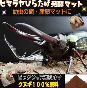 カブトムシ幼虫が大きくなる！改良版　発酵マット【たっぷり２０袋】便利なチャック付き袋　産卵にも抜群　栄養添加剤配合　雑虫が湧かない