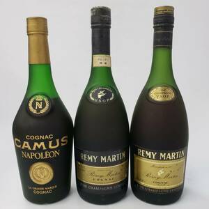 24千/A024295-1/M122-563/TM6000 酒 ※同梱不可 ３本まとめ CAMUS NAPOLEON COGNAC/REMY MARTIN V.S.O.P. FINE CHAMPAGNE COGNAC 