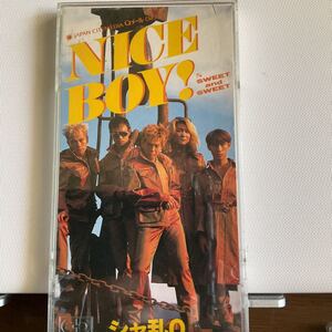 H◆◆ CD NICE BOY! /シャ乱Q、 つんく　◆◆