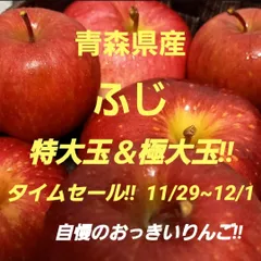 ★期間限定★青森県産 ふじ りんご 特大＆極大玉 家庭用 6~8玉 ③