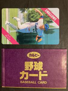 カルビープロ野球カード 93年 No.29 Ｊ．ハウエル ヤクルト 1993年 大文字 袋つき (検索用)レアブロック ショートブロック ホログラム 金枠