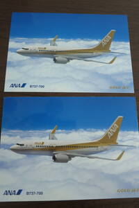 ●絵葉書　ＡＮＡ　B737-700　GOLDJET　ラスト１枚