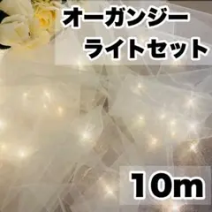 オーガンジーライトセット【5m×2枚】led3m30球❁¨̮ウェルカムスペース