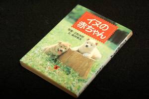 絶版■新井敦夫 文/立松光好 写真【イヌの赤ちゃん】ノン・ポシェット-平成5年初版■愛犬家必携の１冊