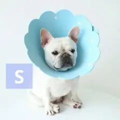 エリザベスカラー 小型犬用 ソフト 回復首輪 ボタン式 調節可能 可愛い ブルー