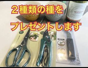 C とても使いやすいガーデニング用のハサミ3点セットです。