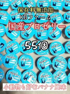 KBファーム 国産プロゼリー16g 55個 カブトムシ クワガタ 昆虫