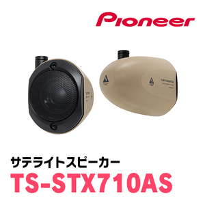 パイオニア/TS-STX710AS　アドベンチャーシリーズ・サテライトスピーカー　Carrozzeria正規品販売店