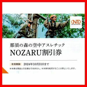 那須の森の空中アスレチック NOZARU割引券 1枚(4名迄)■24/10最新日本駐車場開発株主優待券クーポン券施設利用券無料券ノザル2枚3枚野猿