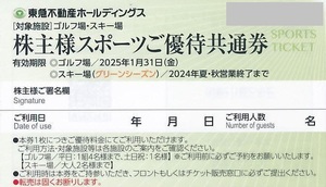 即決！東急不動産　スポーツご優待共通券（グリーンシーズン）株主優待券 １０枚セット