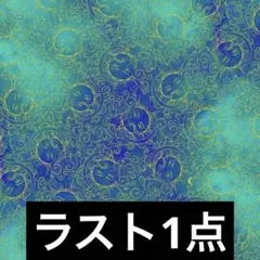 輸入生地　USAコットン(Cosmos Celestial )