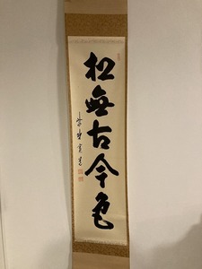 747 掛軸 松無古今色 大徳寺 寛道師 共箱 茶道具