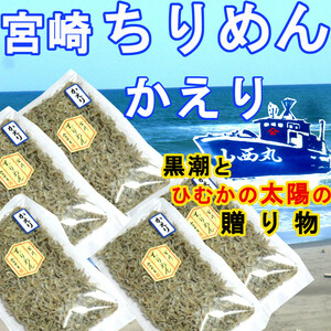 【宮崎ちりめん】かえり 100g×5袋 黒潮と日向の太陽の贈物 カルシウムの補給源 ちりめんじゃこ 山西水産 天日干し ご飯のお供 トッピング