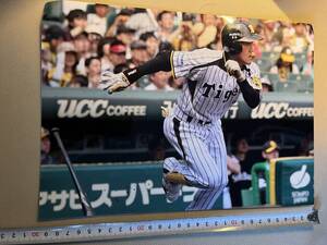 阪神時代の平野選手写真