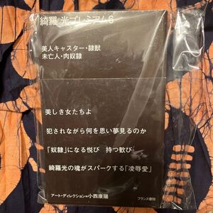 綺羅光プレミアム〈6〉美人キャスター・隷獣 未亡人・肉奴隷 フランス書院文庫