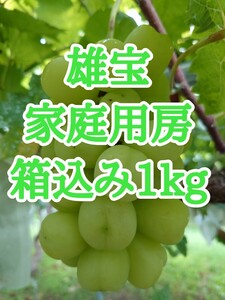 雄宝　ゆうほう　箱込み1kg　種無しぶどう　家庭用房　長野県産　家庭用房　水菓子