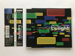 即決 電気グルーヴ スチャダラパー Twilight トワイライト 帯付