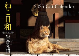 【S13】　ねこ日和　2025　Cat Calendar (永岡書店のカレンダー)