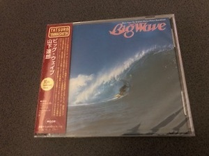 山下達郎『BIG WAVE / ビッグ・ウェイブ 30周年記念盤』CD【未開封】30th/リマスター/坂本龍一/Tatsuro Yamashita/City Pop/シティ・ポップ