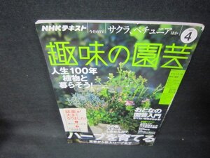 NHK趣味の園芸2020年4月号　ハーブを育てる　折れ目有/JEW