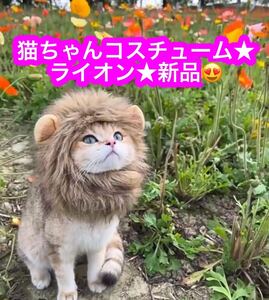 ★猫ちゃんコスチューム★ライオン★新品です♪