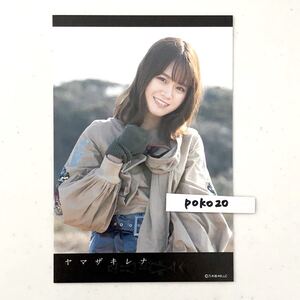 乃木坂46 アナスターシャ 山崎怜奈　ポストカード　1枚　激安 2期生　しあわせの保護色　生写真風