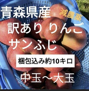 青森県産 減農薬 訳ありりんご「サンふじ」中玉〜大玉 梱包込み 約10キロ 