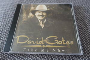 激レア盤: Davie Gates / デビッド・ゲイツ / Take Me Now (正規盤) 