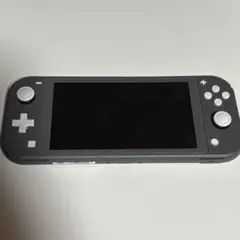 Nintendo Switch Lite グレー 本体 充電器