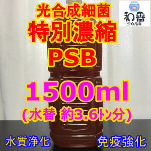 光合成細菌PSB1500ml 送料安 バクテリア めだか らんちゅう金魚 熱帯魚 グッピーにミジンコゾウリムシクロレラ培養