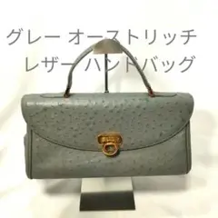 グレー オーストリッチレザー ハンドバッグ