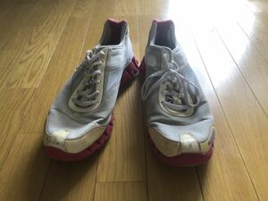 リーボック ジグテック / Reebok ZIGTECH / 29cm / スニーカー