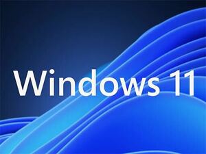 Windows 11 Pro 32/64bit 対応 正規プロダクトキー◇即決価格