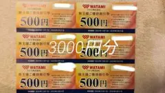 WATAMI 株主優待割引券 500円 6枚