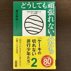 どうしても頑張れない人たち ケーキの切れない非行少年たち 2