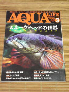 AQUA LIFE 2020年3月号 No.464 スネークヘッドの世界 アクアライフ