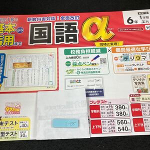 こー135 基本から活用まで 国語α ６年 1学期 上刊 新学社 問題集 プリント 学習 ドリル 小学生 テキスト テスト用紙 教材 文章問題※7