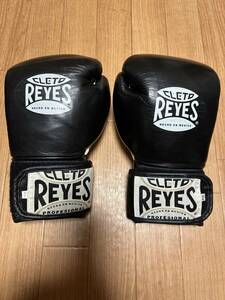 レイジェス ボクシンググローブ 10オンス CLETO REYES 10oz