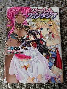 NO59　★まとめ割引あり・一括購入可能・早い者勝ち★ ハーレムファンタジア囚われの姫騎士団 　鷹派　シン