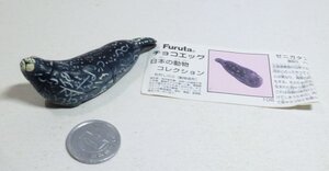 （9B15）チョコエッグ　日本の動物コレクション第4弾「ゼニガタアザラシ」