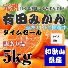 1 和歌山県 有田みかん 5kg