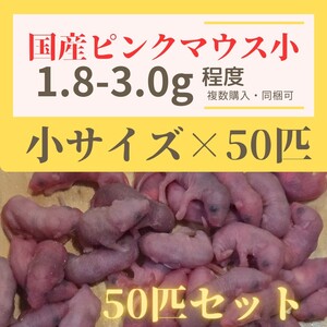 訳あり激安！　国産冷凍ピンクマウス　Sサイズ　50匹セット　約1.8-3.0g程度