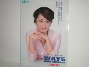 矢田亜希子 ★ クリアファイル ★ AFLAC ①