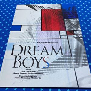 【Kis-My-Ft2】DREAM BOYS 2015 パンフレット 玉森裕太 宮田俊哉 千賀健永 中山優馬 菊池風磨 マリウス葉