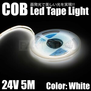 24V LED テープライト ホワイト 白 5m 面発光 極薄 2mm COB 切断可 柔軟 防水 爆光 船舶 蛍光灯 アンドン サイドマーカー トラック/149-3